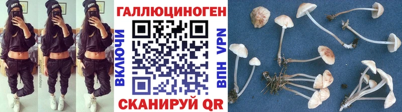 что такое наркотик  Серов  сайты даркнета клад  Галлюциногенные грибы мицелий 